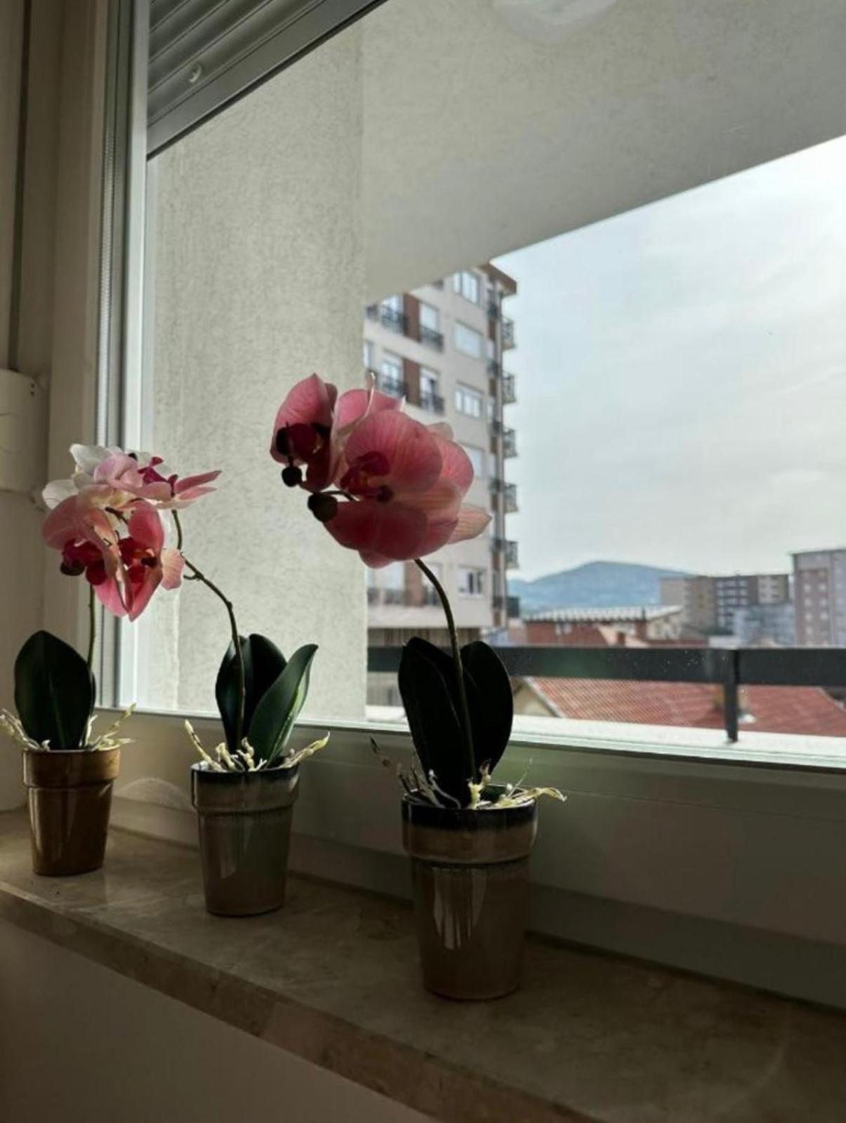 Apartmani Imperial Novi Pazar Eksteriør billede